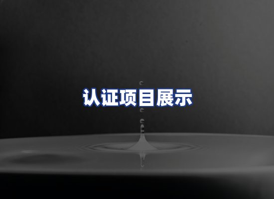 认证项目展示